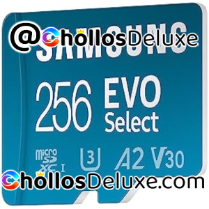 Samsung EVO MicroSD 256GB