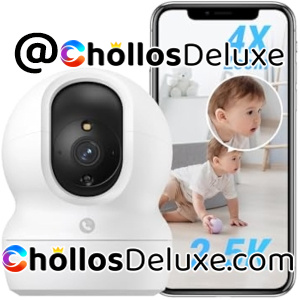 Cámara Vigilancia WiFi Interior 360º Alexa