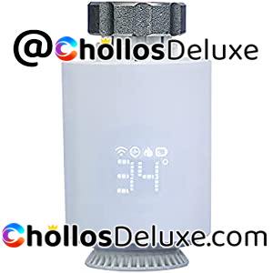 Termostato Inteligente Programable Alexa