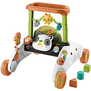 Fisher-Price Andador 2 Caras Panda Correpasillos