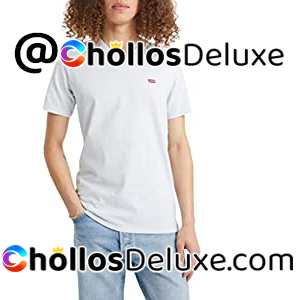 Levi's Original Arctic Ice Camiseta Hombre