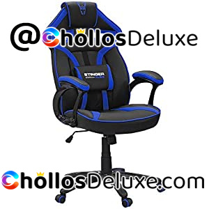 Silla Gaming Woxter Station