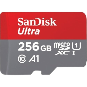 SanDisk 256GB MicroSDXC