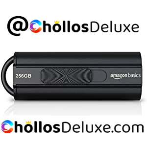 Memoria Flash USB 3.1 256GB