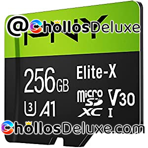 MicroSD PNY Elite-X 256GB