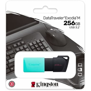 Kingston 256GB USB 3.2 Memoria Flash