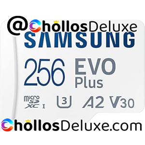 Samsung EVO Plus MicroSD 256GB