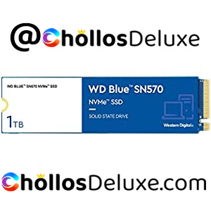 WD Blue 1TB NVMe SSD M.2