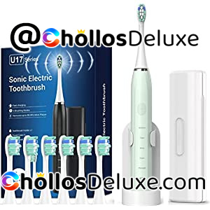 Cepillo de Dientes Eléctrico Sónico Recargable +6 Cabezales