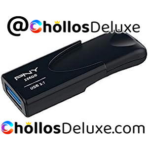PNY 256GB USB 3.1 Memoria Flash