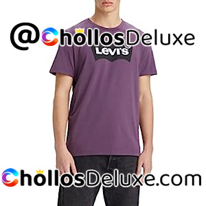 Levi's Graphic Camiseta Hombre