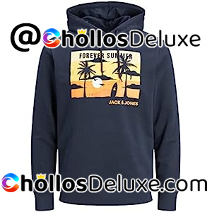 Jack & Jones Jjsummer Sudadera con Capucha Hombre