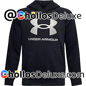 Under Armour Logo Sudadera con Capucha Niños