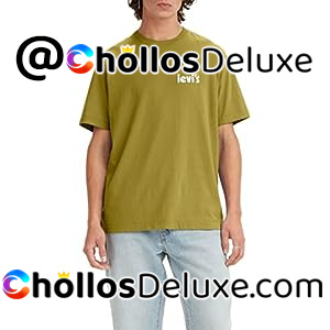Levi's Big & Tall Ss Relaxed Fit Tee Camiseta Hombre