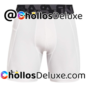Under Armour UA HG Armour Shorts Hombre