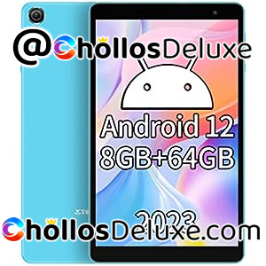 Teclast P80T 4GB-64GB (ampliable)