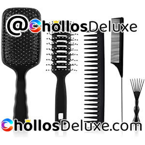 Juego de 5 Cepillos para el Pelo