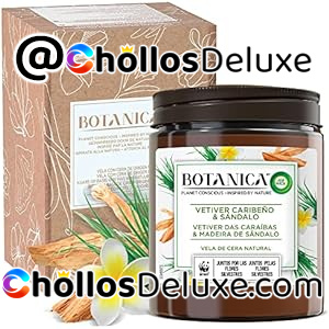 Air Wick Vela Grande Aromática Vetiver Caribeño y Sándalo 500g