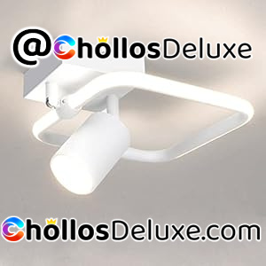Lámpara de Techo LED con Foco Orientable