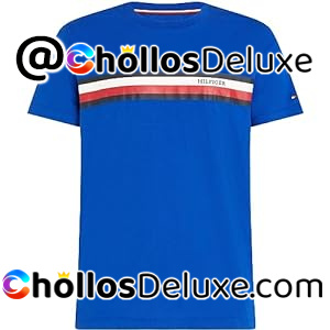Tommy Hilfiger Monotipo Camiseta Hombre