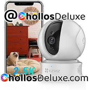 Cámara Vigilancia WiFi Interior 360 2.5K Alexa/Google