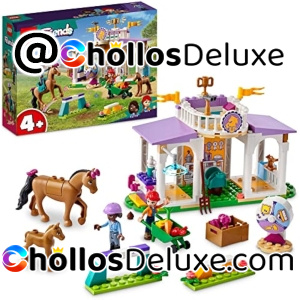 Lego Friends Clase de Equitación
