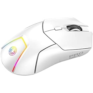 Ratón Bluetooth Inalámbrico Dual + 2.4G 4000 DPI