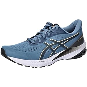 Asics GT-1000 12 Zapatillas Running Hombre