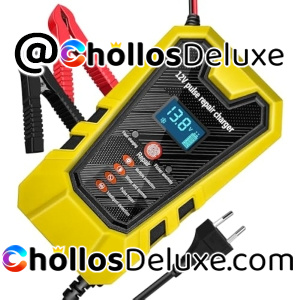 Cargador de Baterias Coche 6A 12V