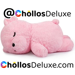 Oso de Peluche 50cm Felpa Suave