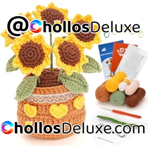 Kit de Ganchillo Plantas en Maceta