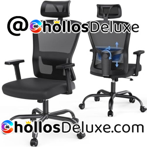 Silla Ergonómica con Soporte Lumbar 2D
