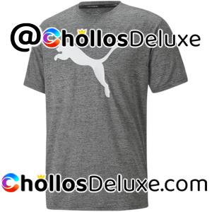 Puma Train FAV Heather Camiseta