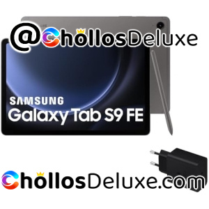 Samsung Galaxy Tab S9 FE WiFi 256GB WiFi +Cargador