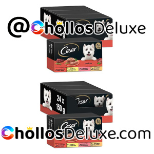 2x Cesar Selección de Clásicos en Paté 24x150g – Comida Húmeda para Perros Adultos