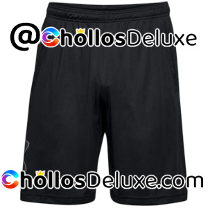 Under Armour Tech Graphic Pantalones Cortos Hombre