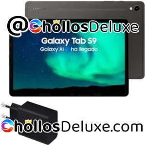 Samsung Galaxy Tab S9 256GB WiFi +Cargador 45W +S Pen