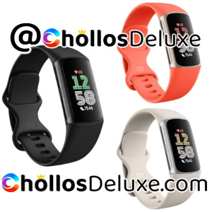 Google Fitbit Charge 6 Pulsera de Actividad