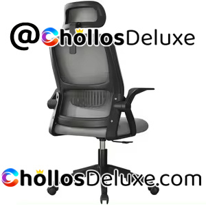 Silla de Oficina con Soporte Lumbar