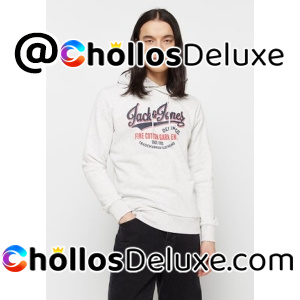 Jack & Jones Jwhlogo Sudadera Capucha