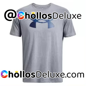 Under Armour UA Big Logo Camiseta Hombre