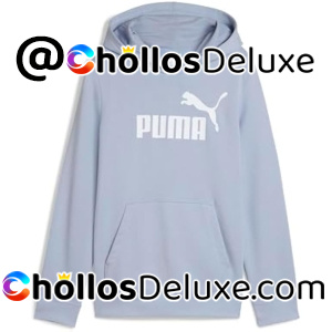Puma Logo Sudadera Capucha Niños