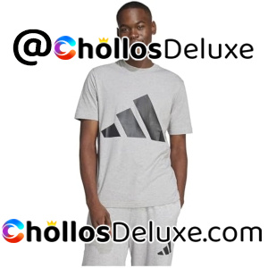 Adidas Essentials Big Logo Camiseta Hombre