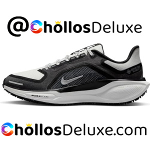 Nike Pegasus 41 Zapatillas Running Mujer Gore-Tex