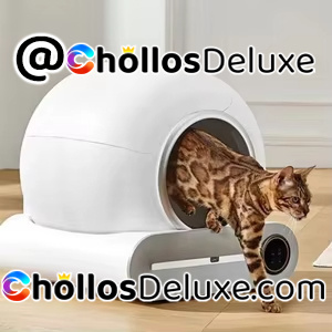 Caja Arena Inteligente Gatos Automática +App
