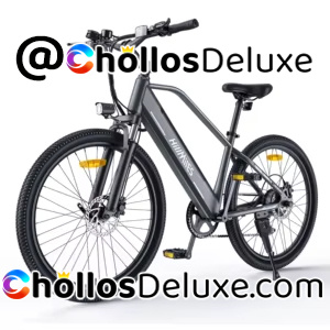 MileTrail Bicicleta Montaña Eléctrica 250W 25km/h