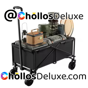 Carro Plegable Transporte 80kg Ruedas Freno