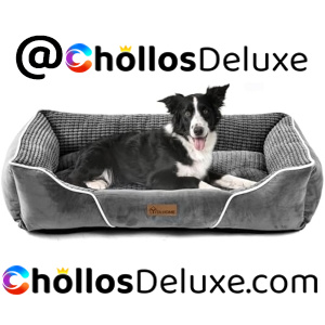 Cama Perro Grande Lavable 76x61x23cm
