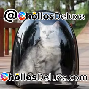 Mochila Gatos Cápsula Espacial Transpirable