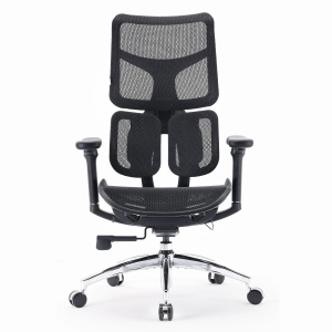 Sihoo Doro S100 Silla Oficina Ergonómica